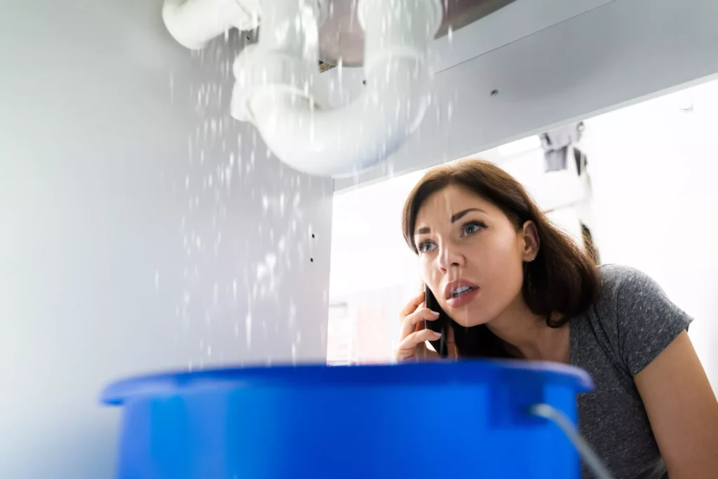 Détection et réparation de fuites d’eau à Lyon avec Ankial